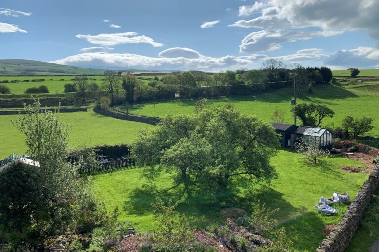 A view of the Orchard