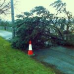 Tree_blocking_road_crop Tree blocking road