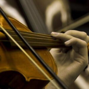 Violin