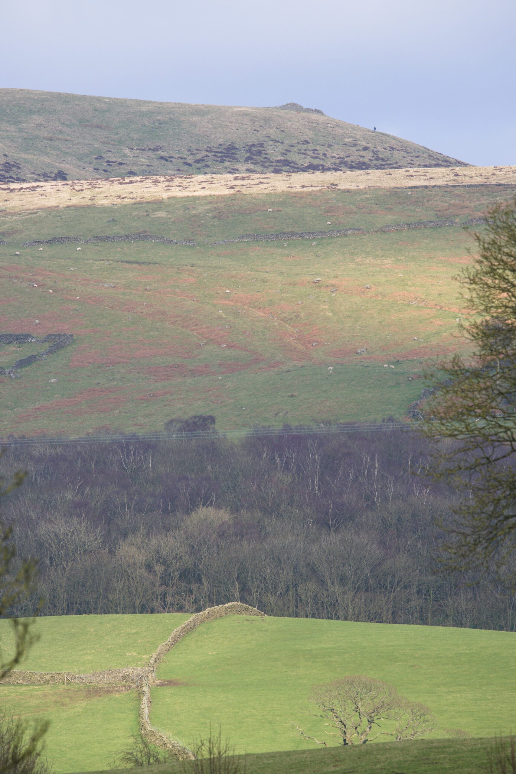 Brownthwaite
