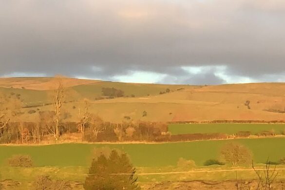 Brownthwaite