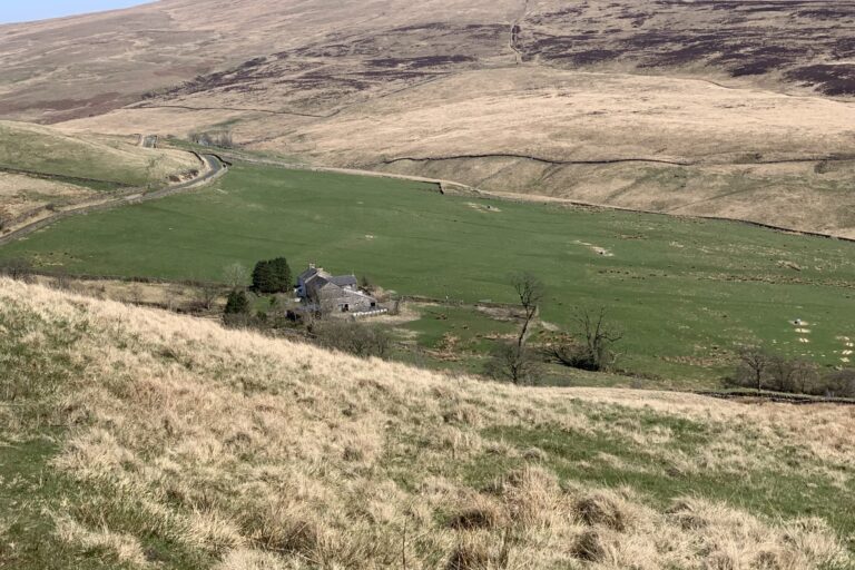 Gale Garth in 2023