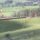 Photograph of Stone Circle taken from nearby foot path in 2023