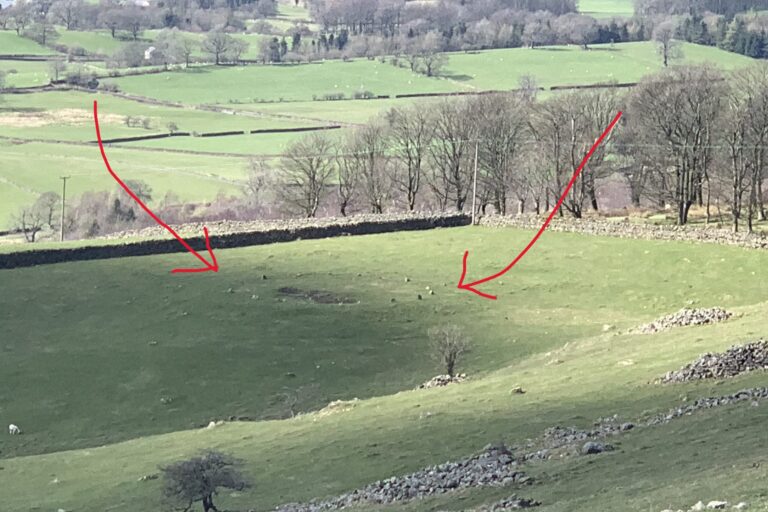 Photograph of Stone Circle taken from nearby foot path in 2023