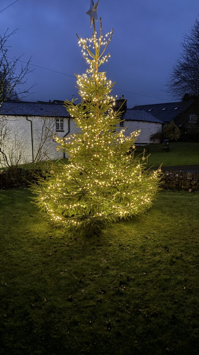 Casterton’s Christmas tree Casterton's Christmas tree