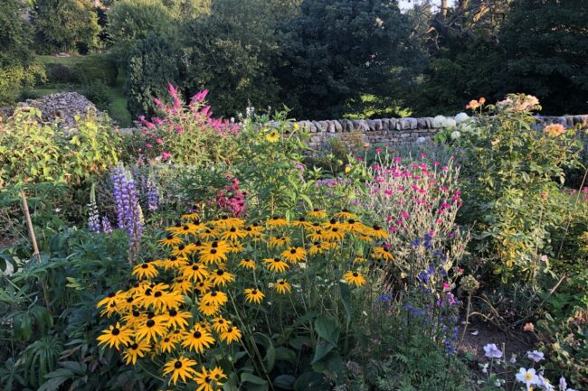 garden_3_crop Garden border in summer