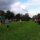 cross country runners